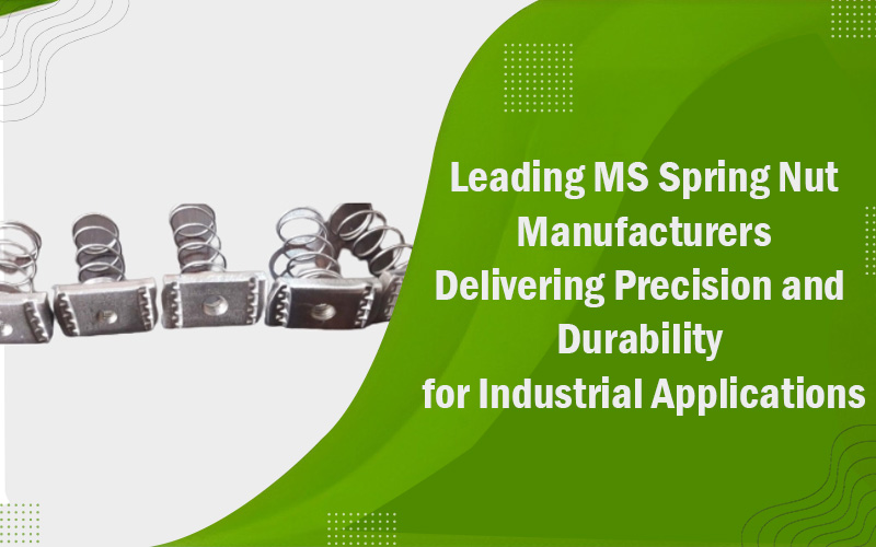 Leading MS Spring Nut Manufacturers Delivering Precision and Durability for Industrial Applications